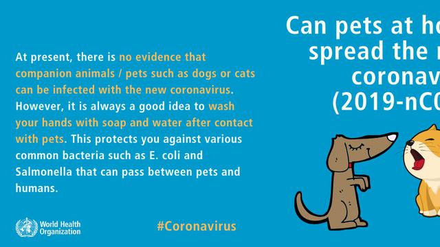 Mitos-mitos soal Virus Corona (2019-nCoV) yang dibantah WHO (who.int)