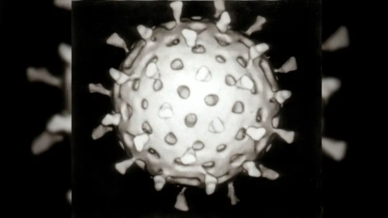 Rotavirus (wikimedia commons)