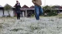 Dieng Kembali Berselimut Embun Upas, Diburu Wisatawan