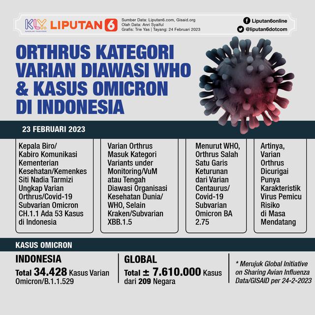 Infografis Orthrus Kategori Varian Diawasi WHO dan Kasus Omicron di Indonesia. (Liputan6.com/Trieyasni)