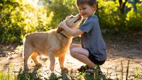 Top 5 Recommended Low-Maintenance Pets For Your Kids!
