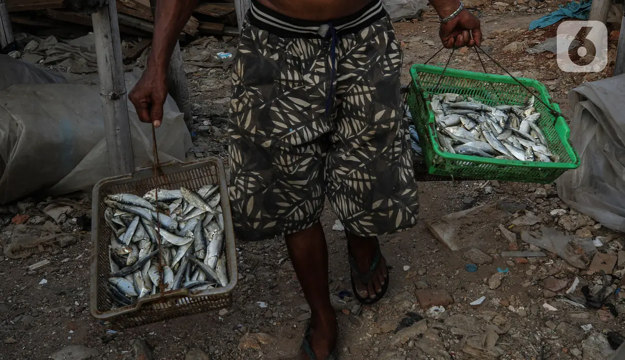 Pekerja menjemur ikan asin di kawasan Kampung Nelayan Muara Angke, Jakarta, Kamis (3/6/2021). Realisasi anggaran pemulihan ekonomi nasional (PEN) hingga 21 Mei 2021 mencapai Rp 183,98 triliun atau 26,3 persen dari total pagu anggaran sebesar Rp 699,43 triliun. (Liputan6.com/Johan Tallo)