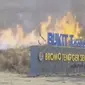 Bukit Teletubies Gunung Bromo terbakar. Api diduga berasal dari flare prewedding yang digelar pengunjung. (Liputan6.com/ Dok @pesonalumajangmovment)