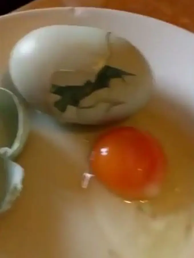 Ajaib dan Langka! Dipecahkan, Telur Ini Keluarkan Telur Lagi