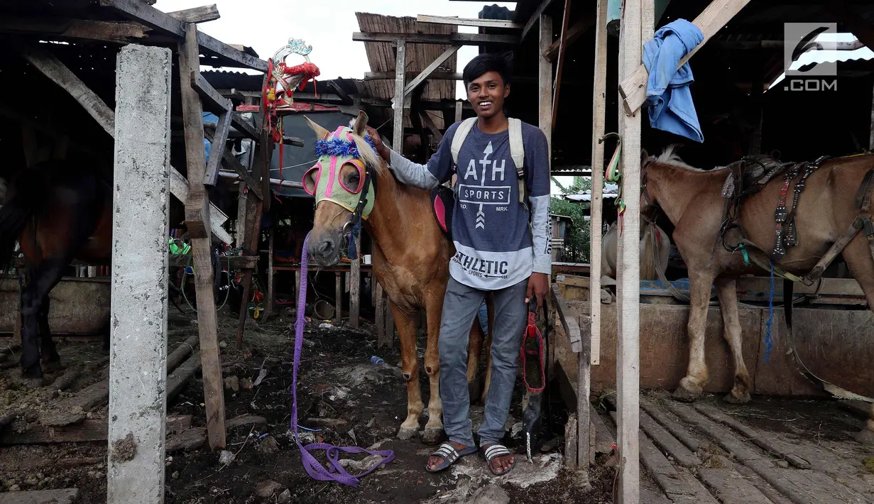 Kusir berpose dengan andong di Kelurahan Jatinegara, Kec Cakung, Jakarta, Sabtu (27/1). Dengan menarik andong setiap harinya rata-rata kusir mendapatkan antara 30 - 100 ribu perharinya untuk menghidupi keluarganya. (Liputan6.com/Johan Tallo)