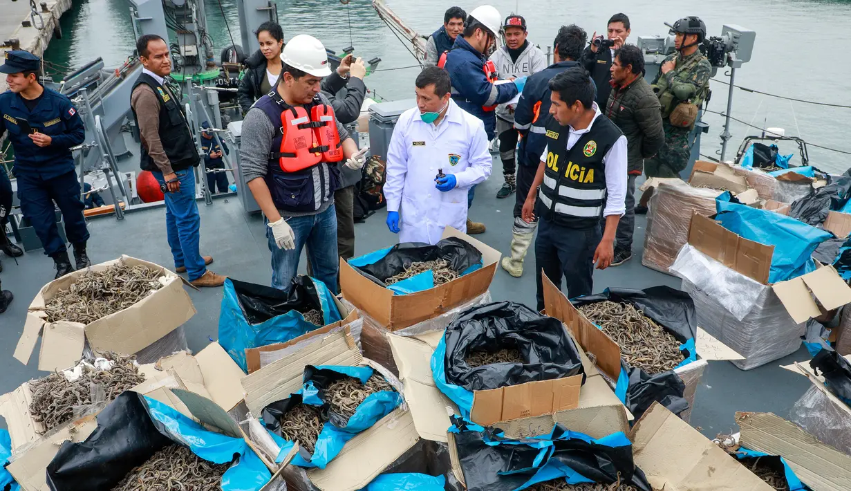 Petugas memeriksa kuda laut yang disita dari sebuah kapal di Pelabuhan Callao, Peru, Senin (30/9/2019). Pejabat Peru mengatakan kuda laut tersebut diambil secara ilegal dari perairan Samudra Pasifik. (Peruvian Ministry of Production/AFP)