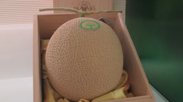 Wisata Legendaris yang Wajib Dikunjungi di Shinjuku Jepang, dari Restoran Kari hingga Toko Buah Sultan