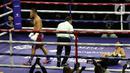 Petinju Indonesia, Daud Yordan saat menumbangkan perlawanan Panya Uthok (Thailand) pada laga mempertahankan gelar WBC Asia Boxing Council Silver Super Lightweight di Balai Sarbini, Jakarta, Jumat (1/7/2022). Daud Yordan menang KO pada ronde keenam. (Liputan6.com/Helmi Fithriansyah)