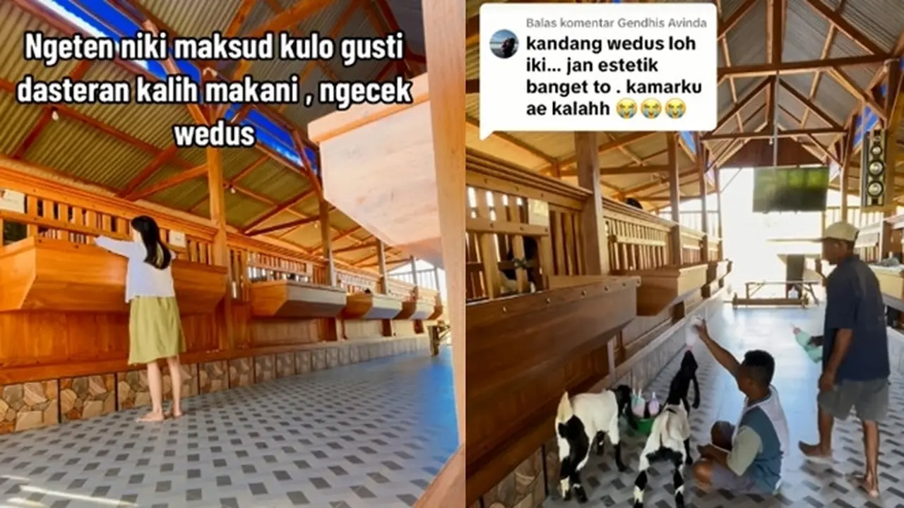 Viral Kandang Kambing di Tuban Curi Atensi, Warganet Sebut Estetik hingga bak di Perumahan Elite