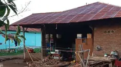 Gempa NTT: Deretan Artis Buka Donasi untuk Korban Bencana