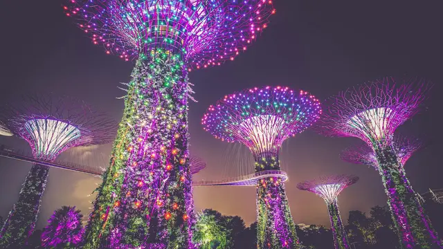 Gardens by the Bay