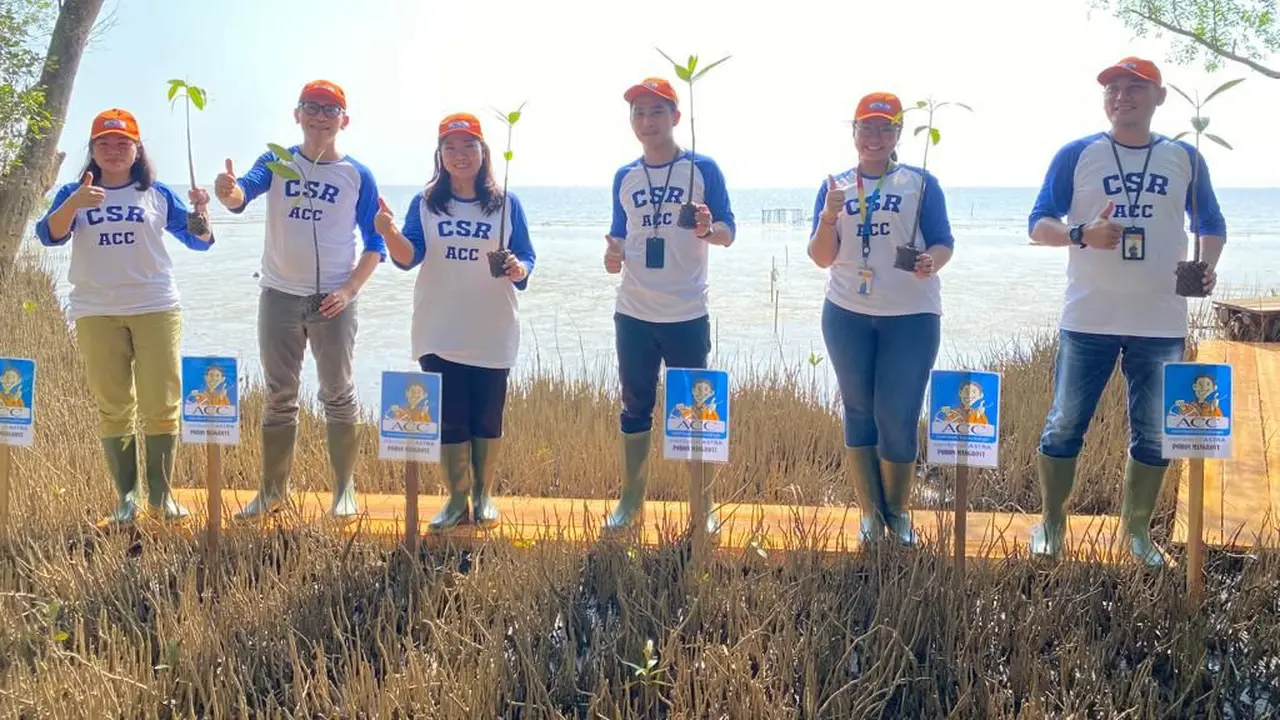 Penanaman 2500 pohon mangrove oleh PT ACC di Telok Berdiri Kubu Raya. (Ist).