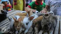 Di Balik Kemeriahan Paskah, Nasib Kelinci Ini Bikin Terenyuh