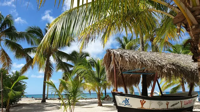 Saona Island