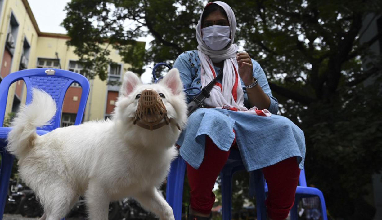 Seorang wanita menunggu dokter hewan untuk menyuntik anjing peliharaannya dengan dosis vaksin antirabies pada kesempatan Hari Rabies Sedunia di Rumah Sakit Universitas Hewan Tamil Nadu, Chennai, Rabu (29/9/2021). Hari Rabies Sedunia diselenggarakan pada 28 September setiap tahun. (Arun SANKAR/AFP)