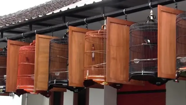 Sangkar burung