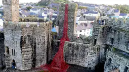 Sebuah karya seni bertajuk 'Jendela Menangis' karya seniman Paul Cummins dan desainer Tom Piper dipamerkan di Caernarfon Castle, Wales, Senin (17/10). (REUTERS / Rebecca Naden)