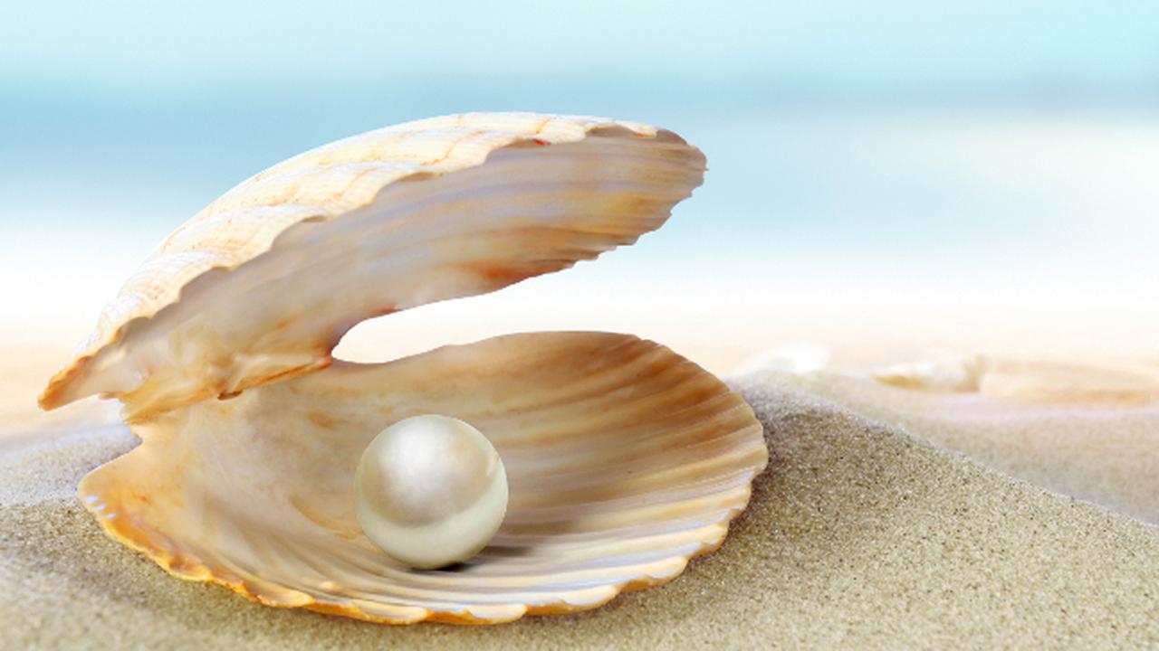Mutiara Muncul dari Mulut Kerang, ini Prosesnya