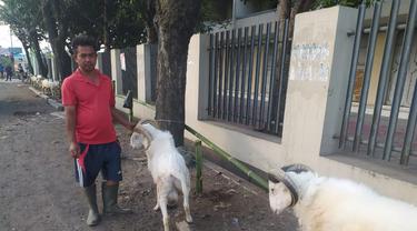 Para pedagang hewan domba Garut, Jawa Barat, nampak lesu akibat minimnya penjualan hewan kurban, saat menjelang Idul Adha 1441/2020.