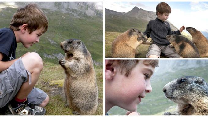 Persahabatan Unik, Bocah 9 Tahun dan Marmut-Marmut Lucu ...