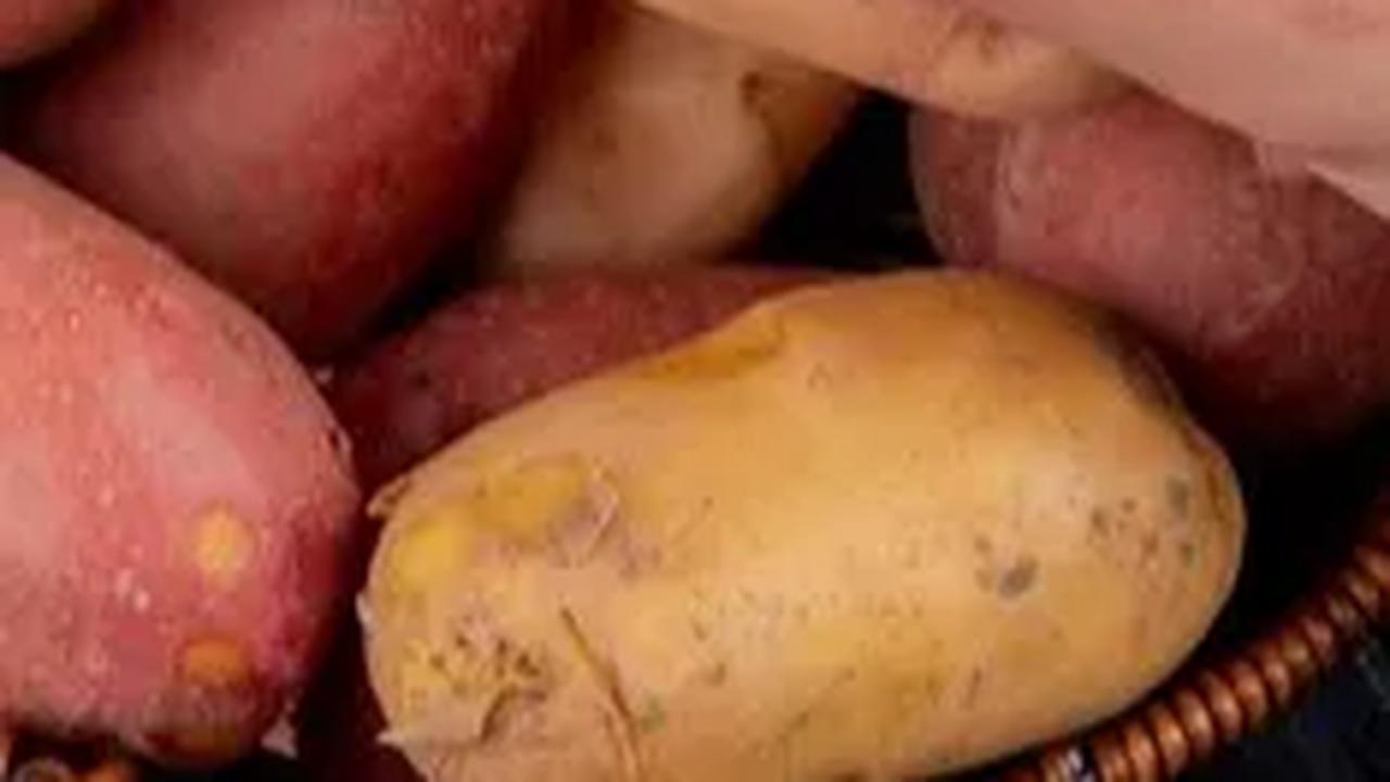 Makanan yang direbus cenderung lebih sehat karena mempertahankan lebih banyak nutrisi daripada metode memasak lainnya.