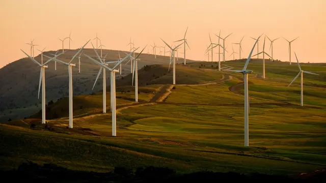Wind Farm