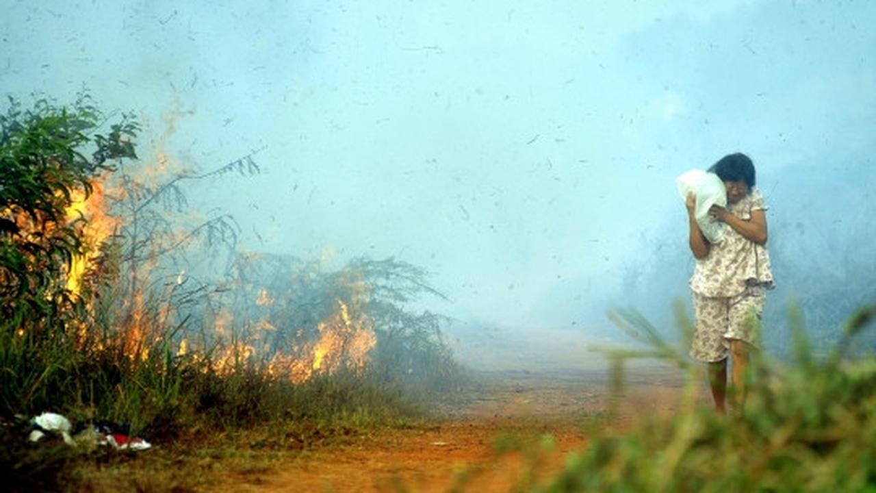 Warga dan petugas bahu-membahu padamkan kebakaran lahan di Tangsel