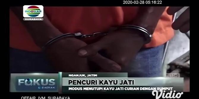 VIDEO: Alasan Pria di Nganjuk Ini Nekat Curi Kayu Perhutani