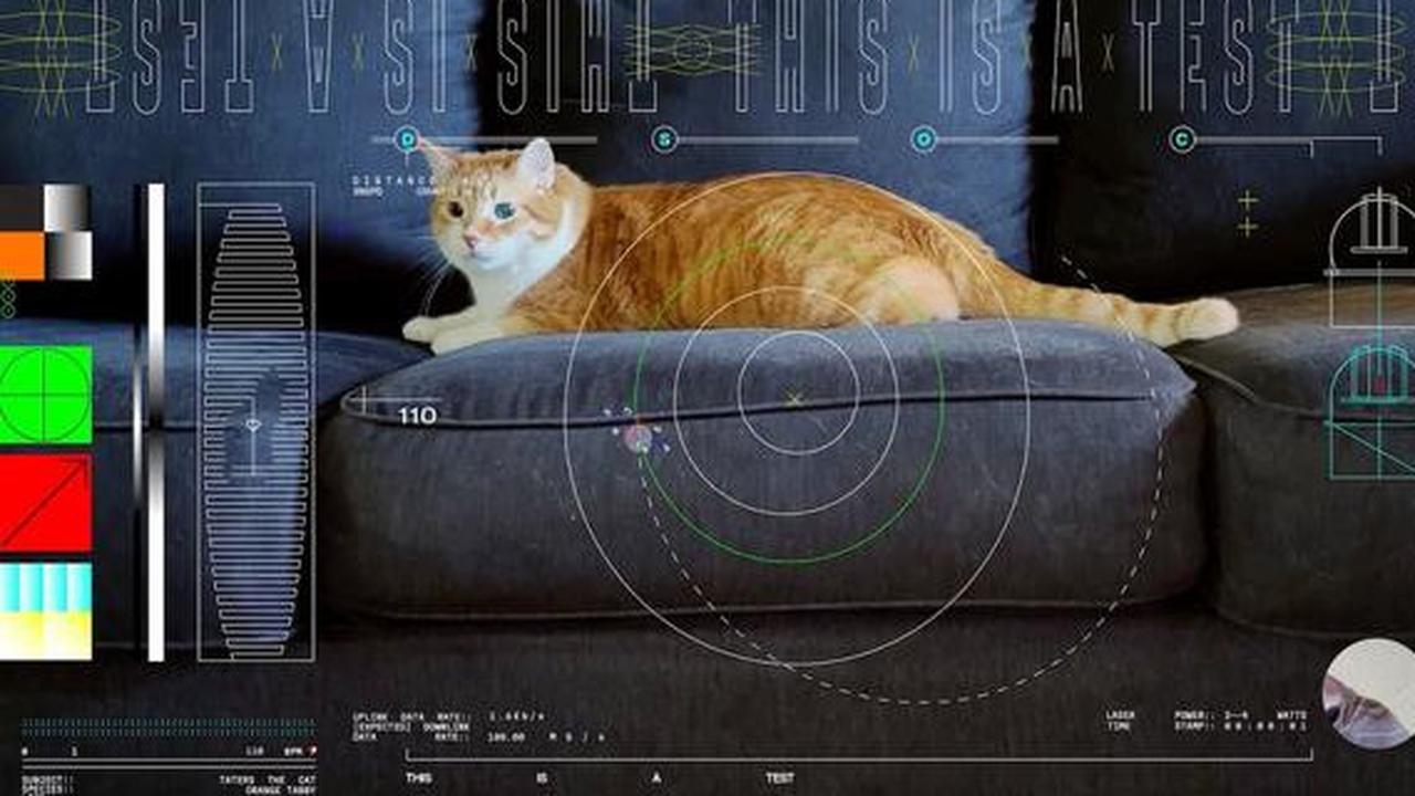 NASA Pancarkan Video Kucing ke Luar Angkasa Pakai Laser Hingga Jarak 390 Juta Kilometer, Ini Tujuannya