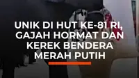 Dua gajah latih bernama Budi dan Valenti ikut "bertugas" dalam upacara HUT ke-81 Kemerdekaan RI di Kebun Binatang Kasang Kulim, Kampar, Riau.

Budi menarik tali pengerek bendera, sementara Valenti membungkukkan kepala saat Indonesia Raya berkumandang.