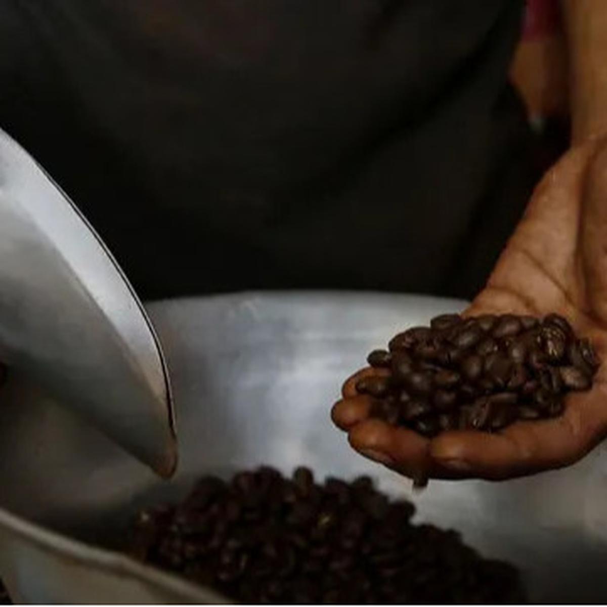 Eksistensi Bis Kota Ditengah Gempuran Kopi Kemasan Sekali Seduh