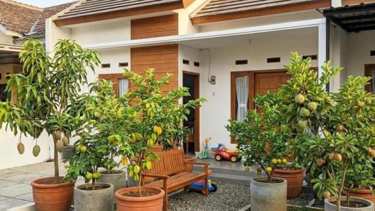 7 Desain Taman Rumah yang Ideal dan Sehat untuk Keluarga, Bikin Hunian Nyaman Ditinggali
