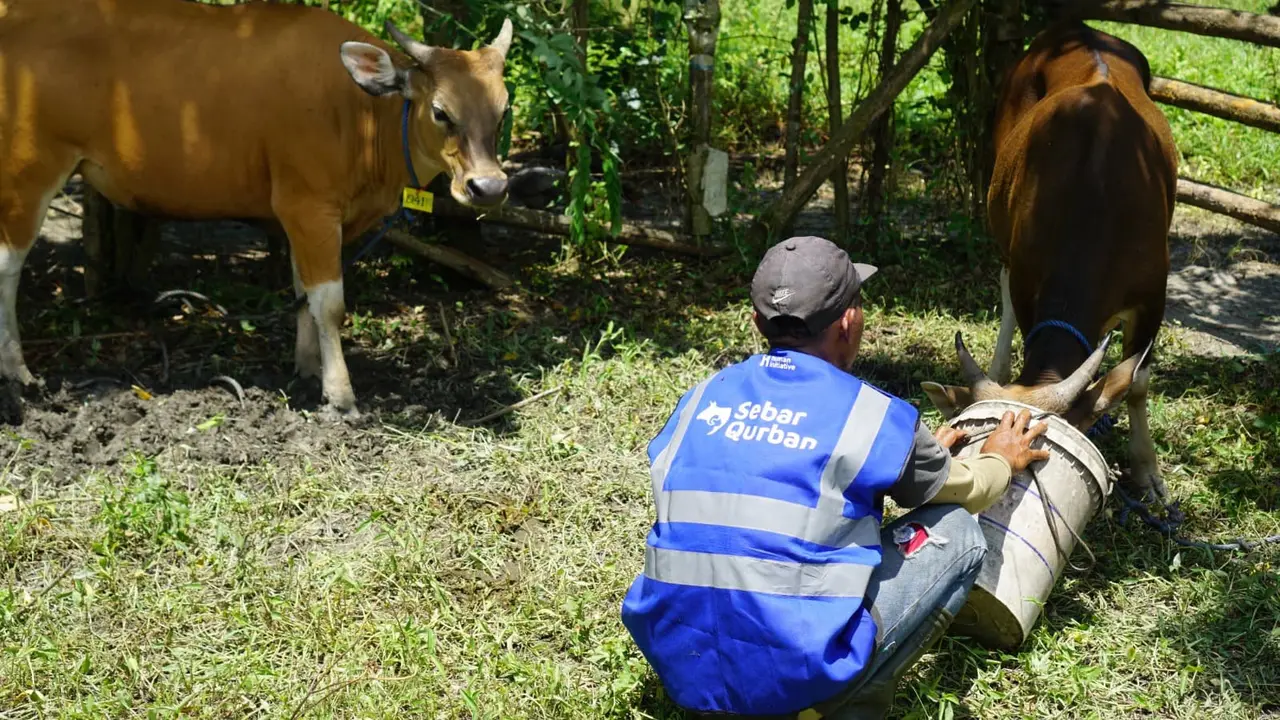 Target 25.290 hewan kurban setara kambing atau domba siap disebar jelang Idul Adha 2025.