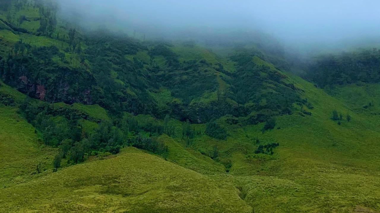 Bukit Teletubbies merupakan bagian dari Kawasan Wisata Gunung Bromo. Bukit itu menjadi salah satu spot foto favorit para pengunjung.