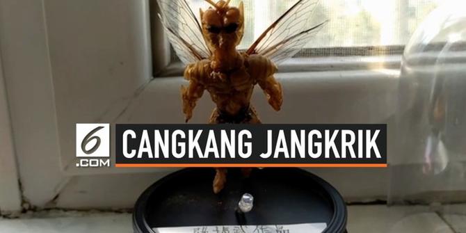 VIDEO: Pria Tua Ciptakan Action Figure dari Cangkang Jangkrik