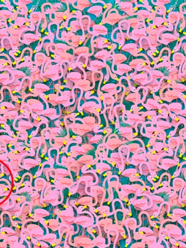 Tes Kejelian Mata, Coba Temukan Penari Balet di Gambar Ini dalam 30 Detik