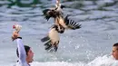 Seorang peserta menunjukan kepala angsa saat mengikuti perayaan "Antzar Eguna" (Hari Angsa) di pelabuhan desa Basque Lekeitio, Spanyol (5/9). Kompetisi ini juga menjadi ajang adu kejantanan untuk menarik hati para gadis. (AFP/Ander Gillenea)