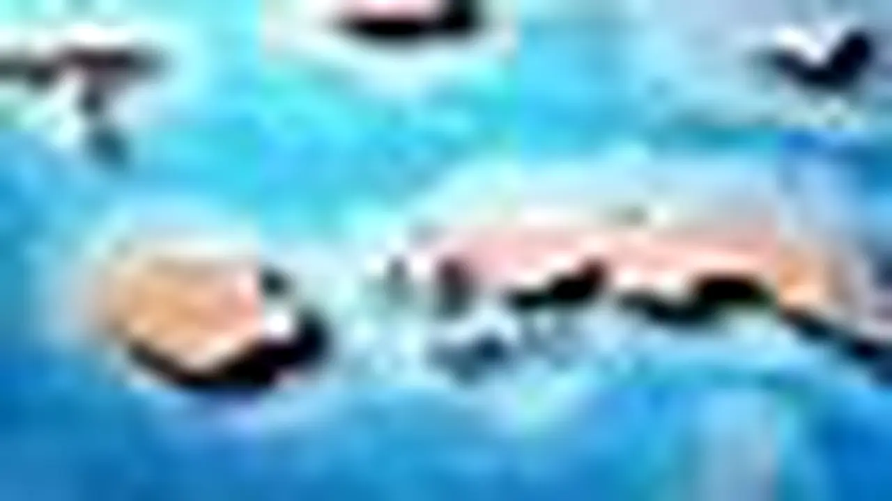 t200203aMaluku.jpg