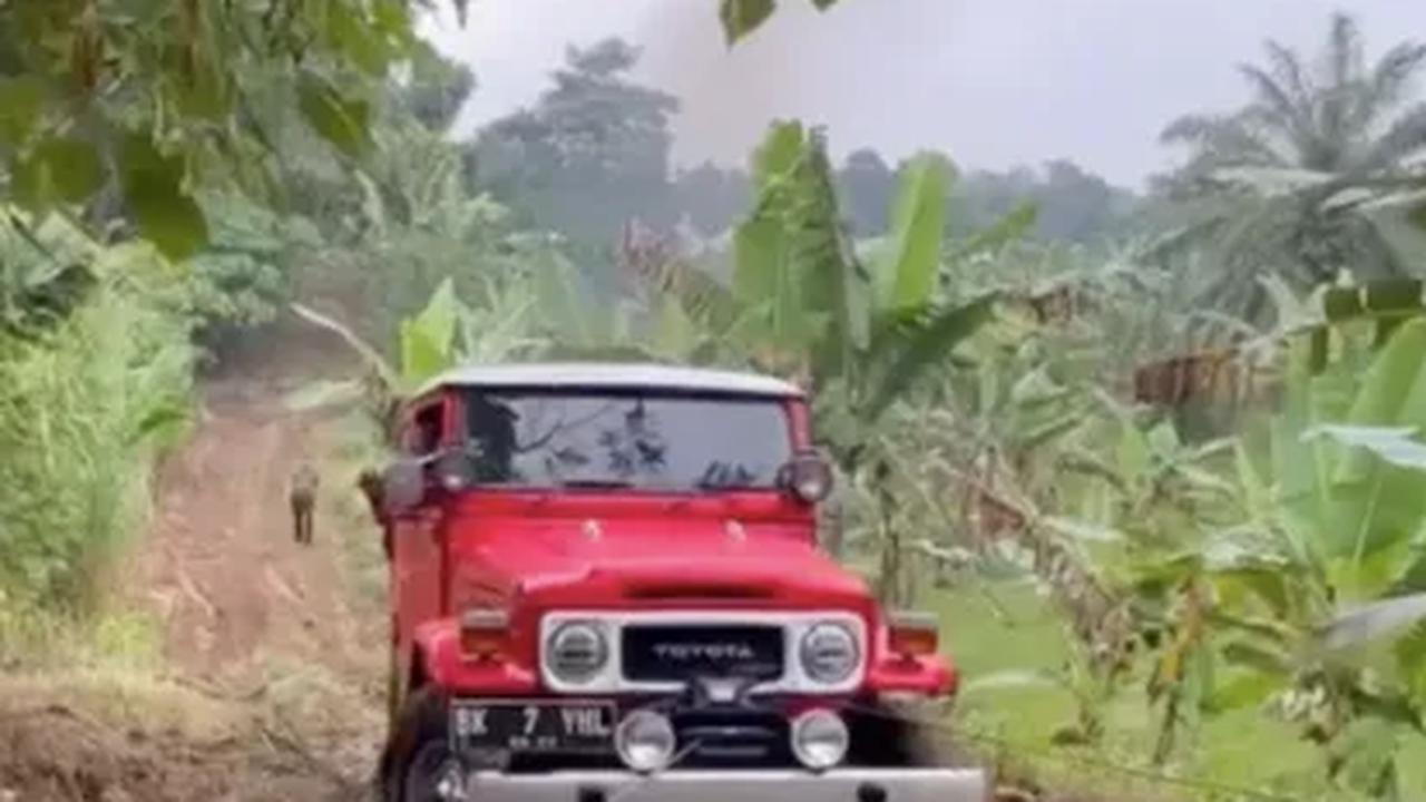 Dok. Istimewa