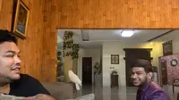 Fadil Jaidi Mau Kirim Hampers ke Ivan Gunawan, Belum Kasih Alamat Langsung Ditolak