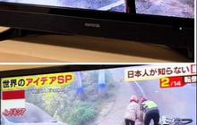Viral Jalan di Indonesia Tayang di Acara TV Jepang, Masuk dalam Kategori Jalan Teraneh