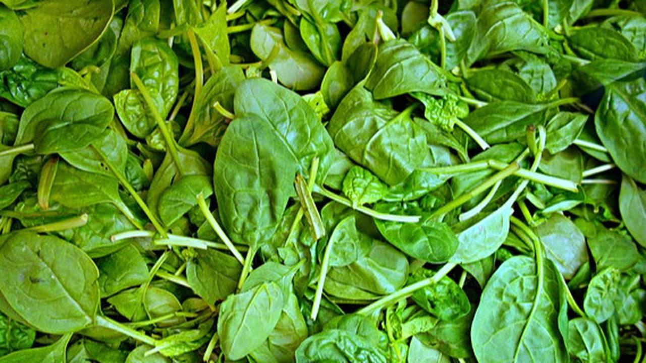 10 Sayuran Tinggi Protein dan Serat, Ketahui Cara Optimal Mengonsumsinya