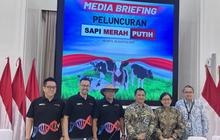 Trivia: Apa Itu Program Sapi Merah Putih? Bappenas dan Moosa Genetika Farmindo Siap Tingkatkan Genetik Sapi Lokal