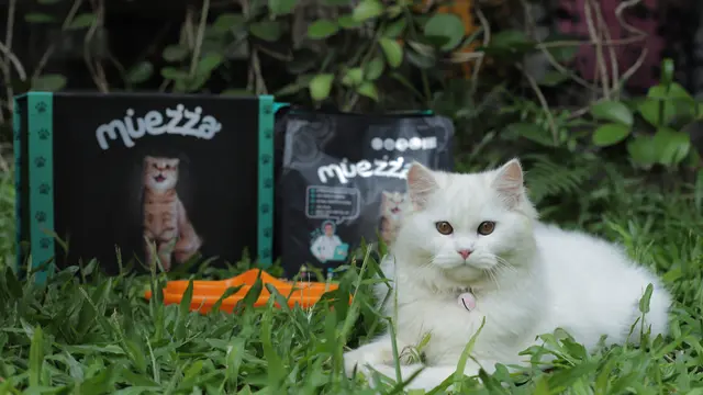 4 Varian Rasa Muezza Cat Food yang Kelezatannya Pasti Disukai Kucing, Apa Saja?
