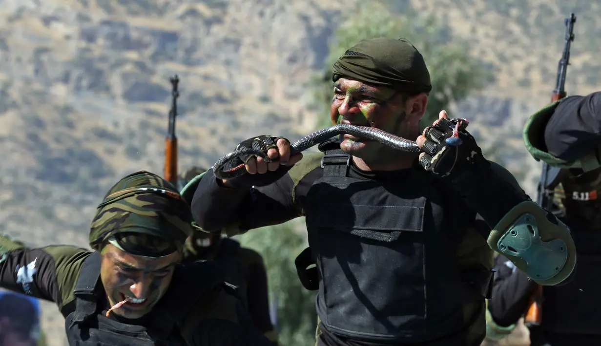 Perwira Peshmerga menggigit seekor ular sambil menunjukkan keterampilannya saat upacara kelulusan di Kota Soran, Irak, Rabu (16/10/2019). Latihan pasukan bersenjata Kurdi tersebut dilakukan sekitar 100 kilometer timur laut ibu kota otonomi wilayah Kurdi di Irak, Arbil. (SAFIN HAMED/AFP)