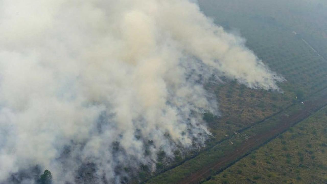 Ini foto mengerikan asap kebakaran hutan Riau dari udara