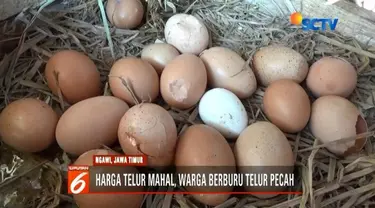 Harga telur ayam di wilayah Bojonegoro dan Ngawi, Jawa Timur, semakin merangkak naik. Alhasil, banyak warga yang memburu telur pecah dengan harga lebih murah.