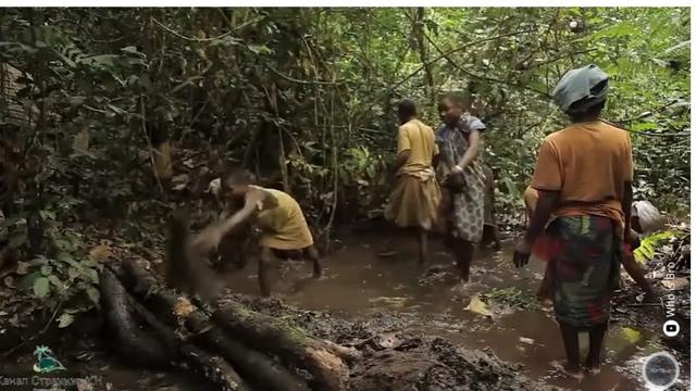 Klaim Manusia Dulu Hidup 900 Tahun, Ahli Genetika Ini Dipecat Pemerintah