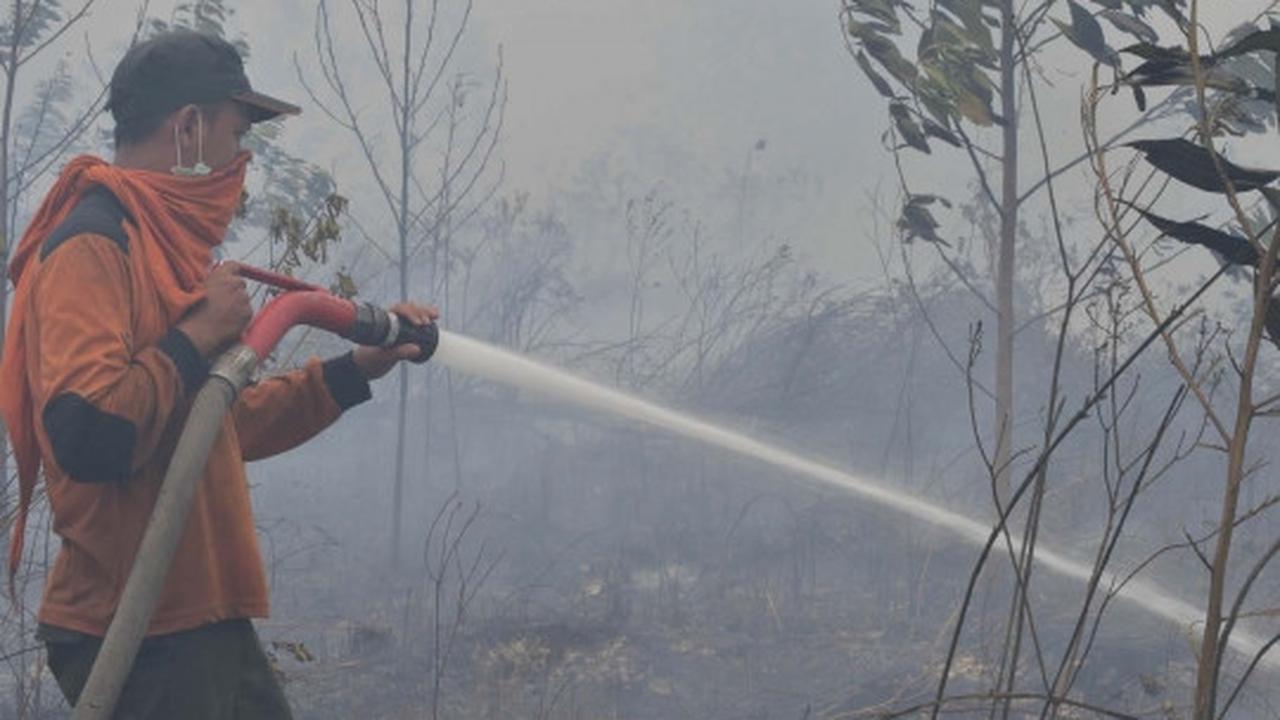 Aksi tim gabungan terobos asap tebal padamkan kebakaran hutan Riau