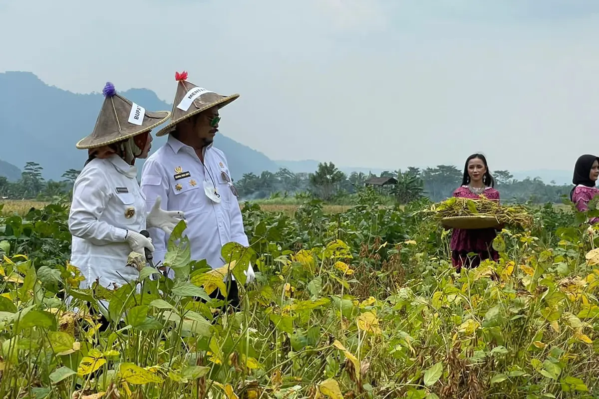Mentan SYL Dorong Provinsi Banten Hasilkan Produk Kedelai yang Berkualitas